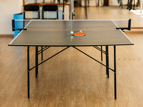 Санаторий «Родник», Кисловодск. Теннисный стол